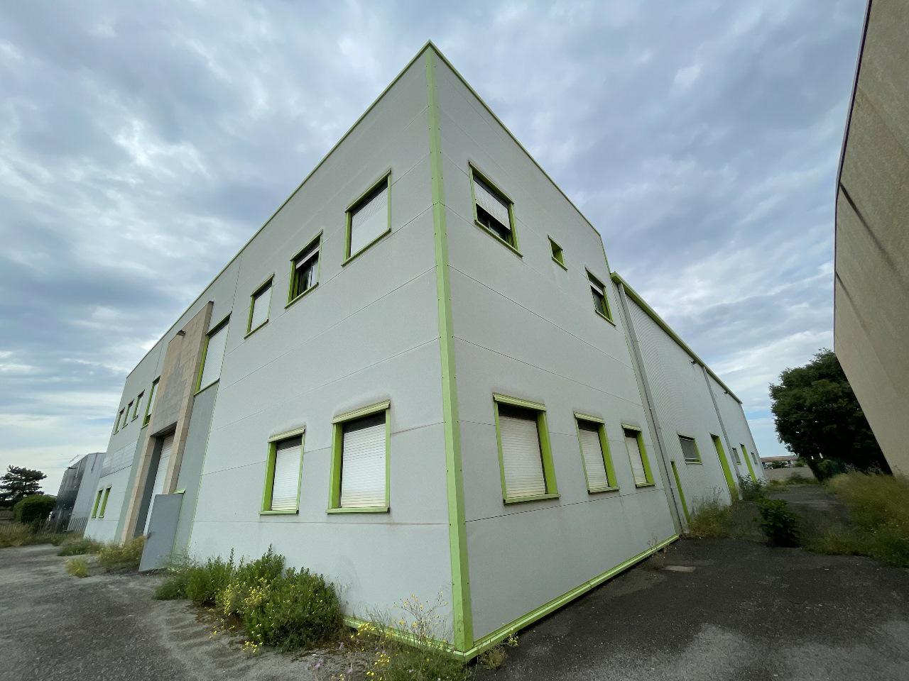 Local d'activité Mauguio 1620m² Location local d'activité Mauguio Hérault OLACT2313439 0